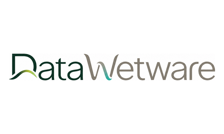 Available Business Name For Sale - DataWetware